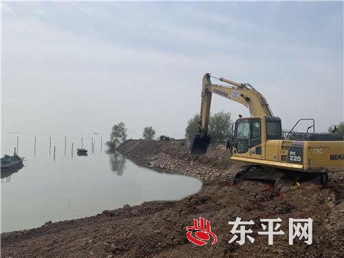 东平湖沿湖生态隔离带项目启动