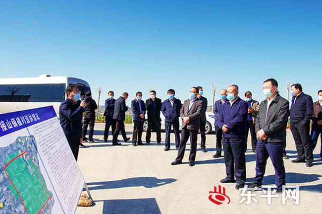 泰安市春季造林绿化现场推进会议在东平县召开
