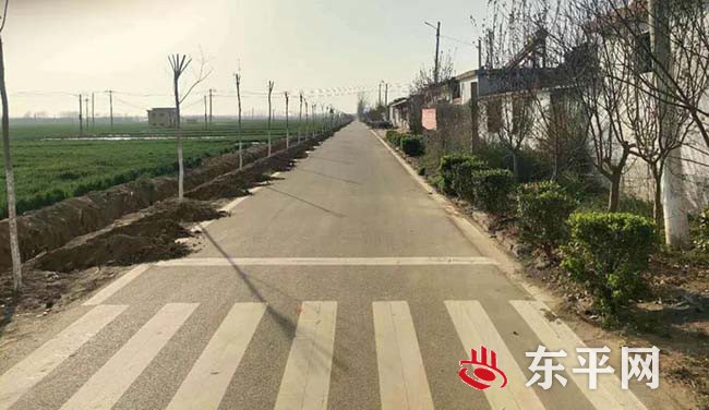 州城街道：“四绿”行动齐发力 植树添绿加速度