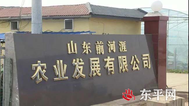 沙河站镇前河涯村：农业种植产业化　富民增收前景好