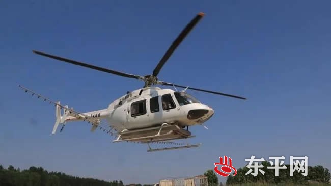 我县美国白蛾飞防工作完成阶段性任务 飞防面积48.8万亩
