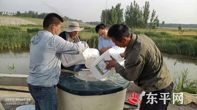 我县美国白蛾飞防工作完成阶段性任务 飞防面积48.8万亩