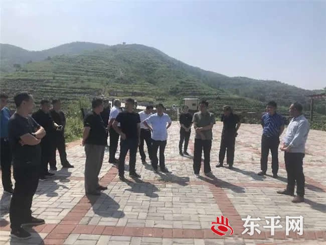 接山镇赴平邑县考察学习金银花产业