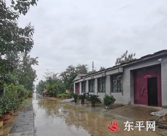 东平县开展“美丽庭院”创建“回头看”督导活动 东平县开展“美丽庭院”创建“回头看”督导活动