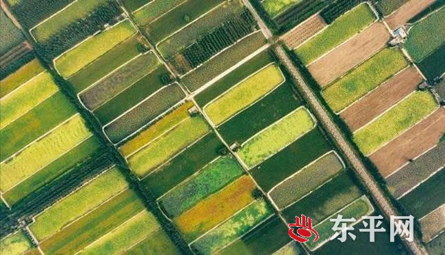 东平县“三大工程” 行业带动全县脱贫攻坚 东平县“三大工程” 行业带动全县脱贫攻坚