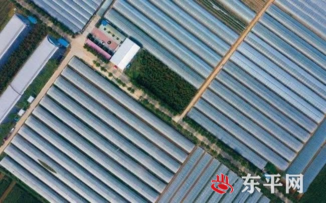 东平县“三大工程” 行业带动全县脱贫攻坚 东平县“三大工程” 行业带动全县脱贫攻坚