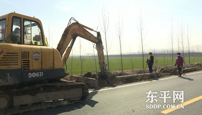 新湖镇：全域绿化引领生态振兴