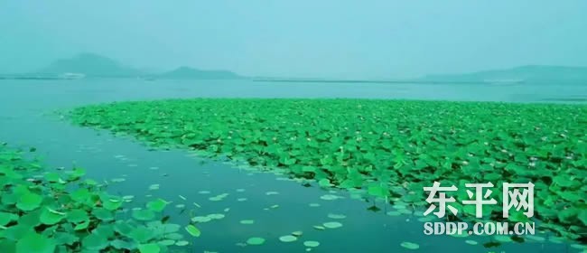 东平湖