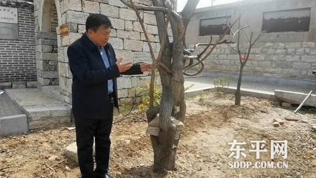 东平街道驻驾村许洪胜