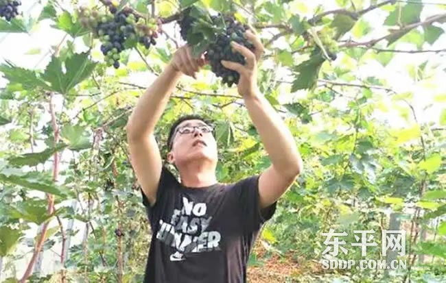 梯门镇东瓦庄村王士明