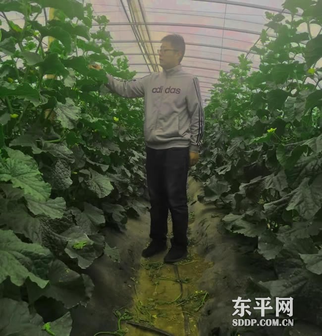 梯门镇东瓦庄村王士明