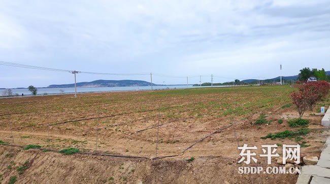 老湖镇文旅康养特色小镇建设忙
