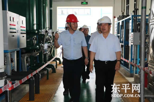 东平县政协领导视察全县生态环境保护工作