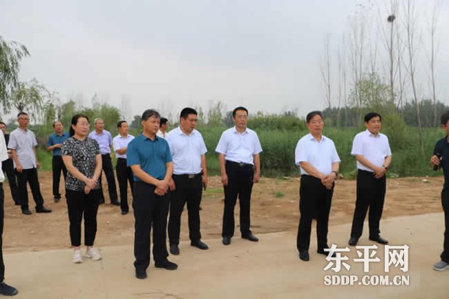 东平县政协领导视察全县生态环境保护工作