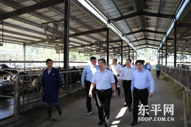 我县政协领导视察全县畜牧工作