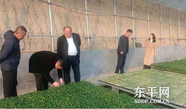 旧县乡外出学习考察 辣椒种植产业工作