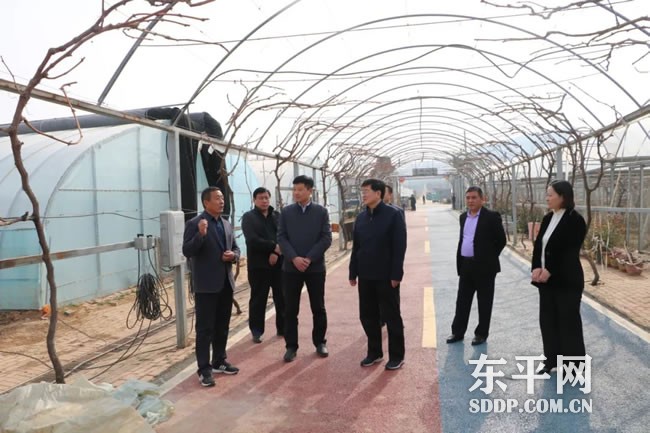东平县政协对我县农村产业发展进行调研 东平县政协对我县农村产业发展进行调研
