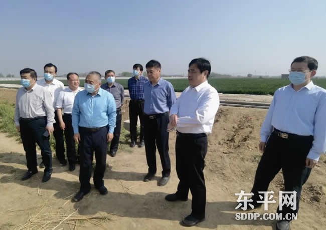 县政协调研沙河站镇农业产业结构调整工作
