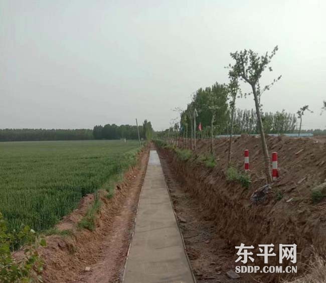 戴庙镇有序推进排灌渠系项目建设 戴庙镇有序推进排灌渠系项目建设