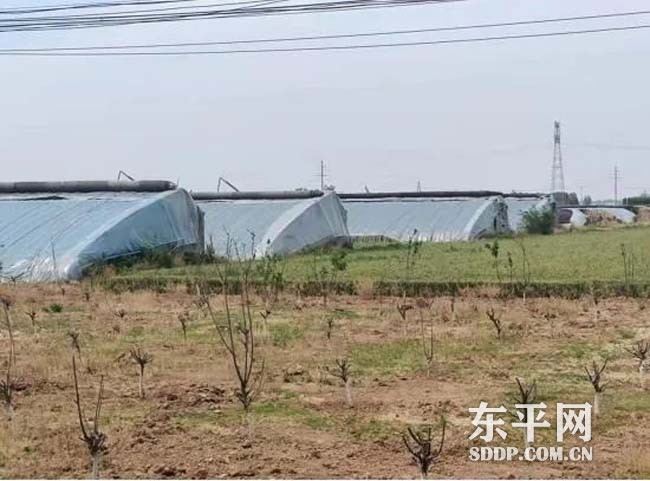 戴庙镇：金融活水注入乡村，振兴发展提供动力