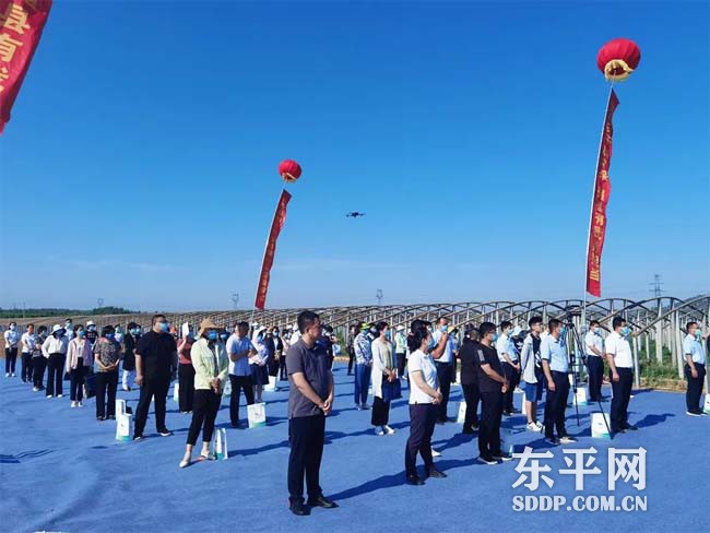 东平县“特色农业巾帼行动”启动仪式举行