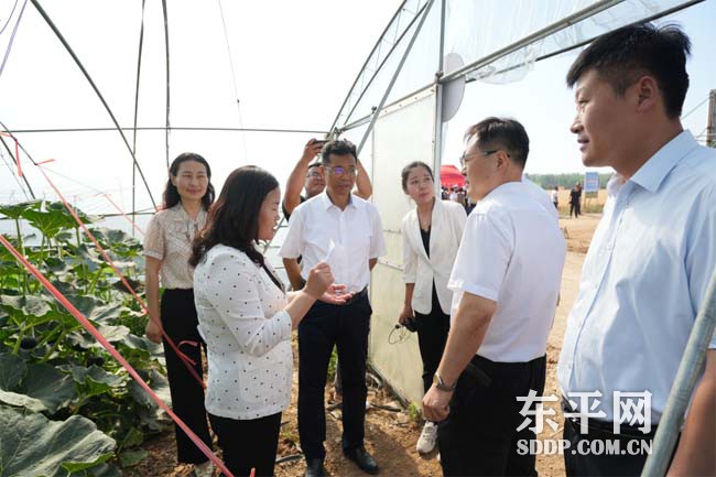 接山镇洪波农场