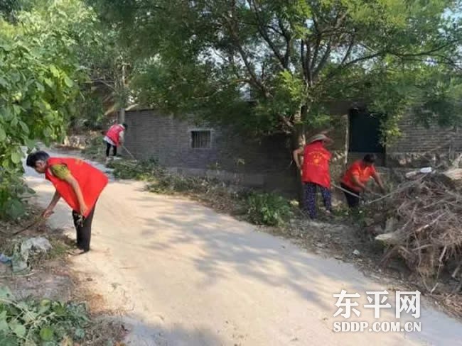 银山镇妇联助力人居环境整治 彰显巾帼风采 银山镇妇联助力人居环境整治 彰显巾帼风采