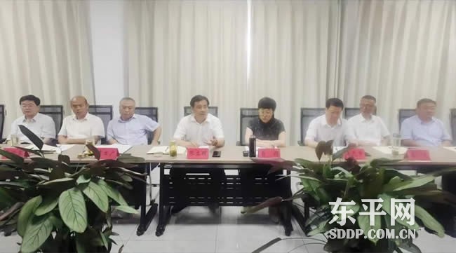 东平县政协视察全县防汛准备工作