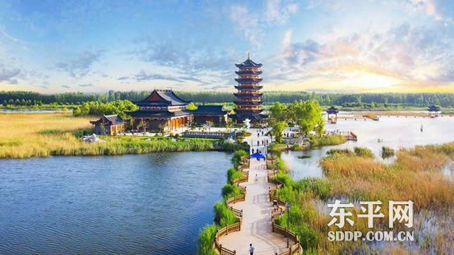 梯门镇：建好“三张网”办好心头事