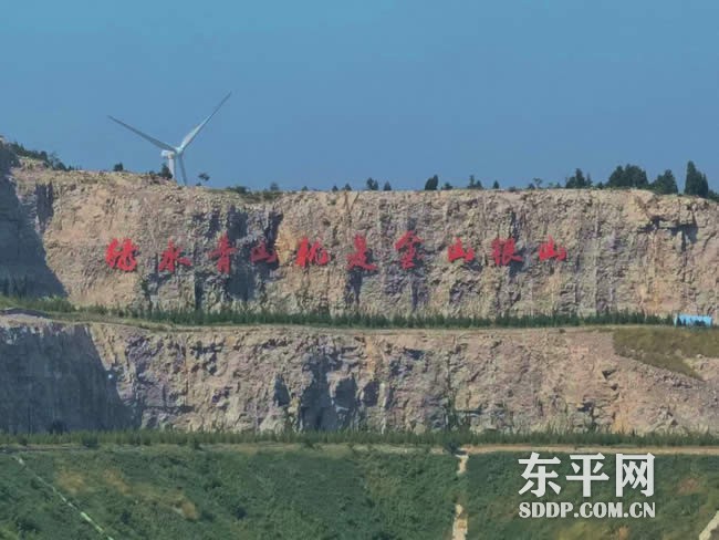 山东省政协领导来东平县调研