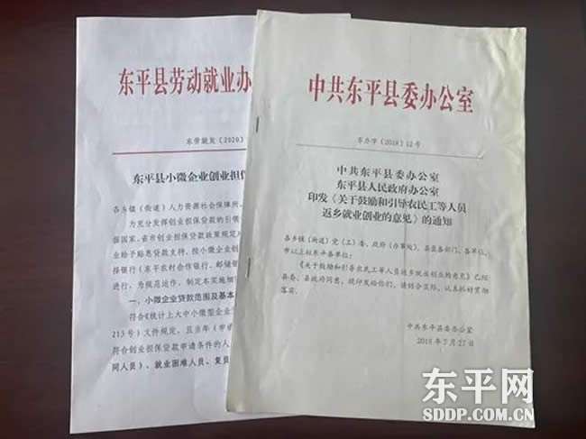 东平县公共就业和人才服务中心多措并举助力农民工返乡创业