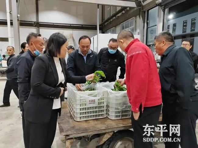 梯门镇:实干护航发展 全域扬起风帆 梯门镇:实干护航发展 全域扬起风帆