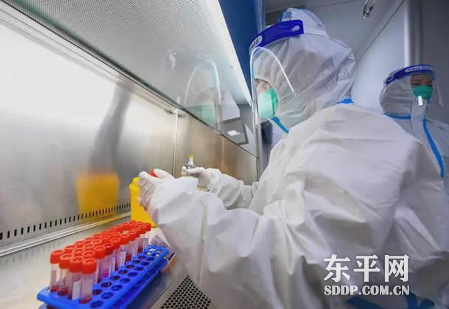东平县防控政策报备咨询电话