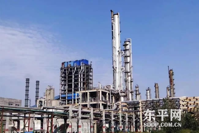 东平县精准施策跑出新型工业化加速度