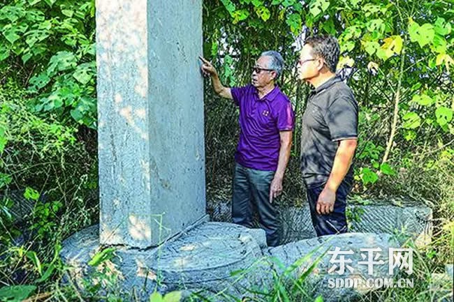 东平湖畔祖孙三代人的文物守护接力