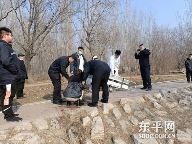 东平一女子大清河不慎落水 众人合力营救