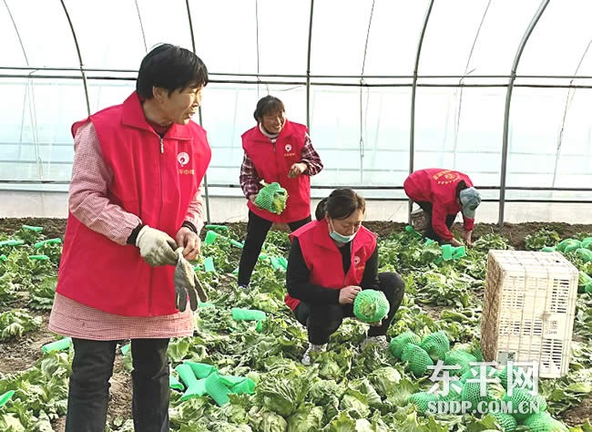 斑鸠店镇：志愿服务奏响文明之乐