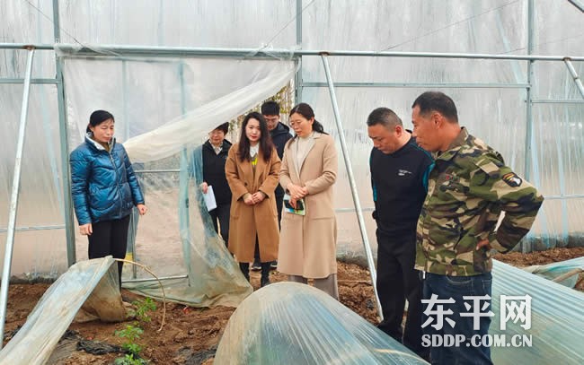 东平县妇联开展巾帼助力返乡创业行动计划“回头看”