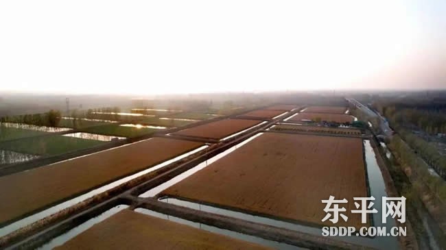 商老庄乡：湖畔“金土地”种出致富好光景