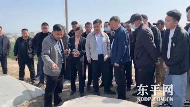 斑鸠店镇“双辣”种植模式打通产业致富路