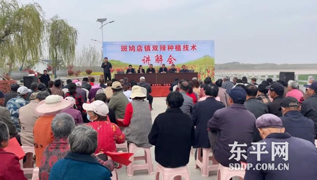 斑鸠店镇“双辣”种植模式打通产业致富路
