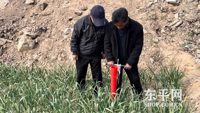 斑鸠店镇“双辣”种植模式打通产业致富路