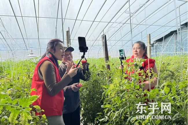 东平街道龙山屯村李老汉的“种菜经”