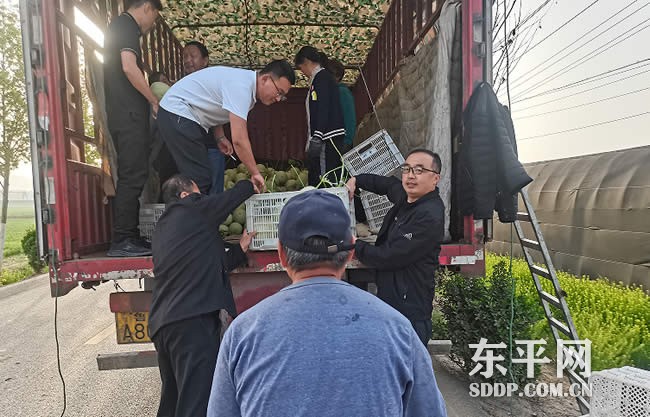 梯门镇经发办主任展长峰：为菜奔赴