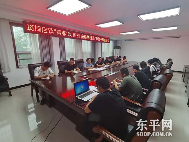 斑鸠店镇召开“青春‘政’当时 奋进勇担当”年轻干部座谈会