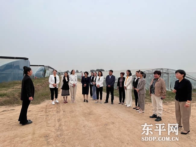 东平县接山镇洪波农场