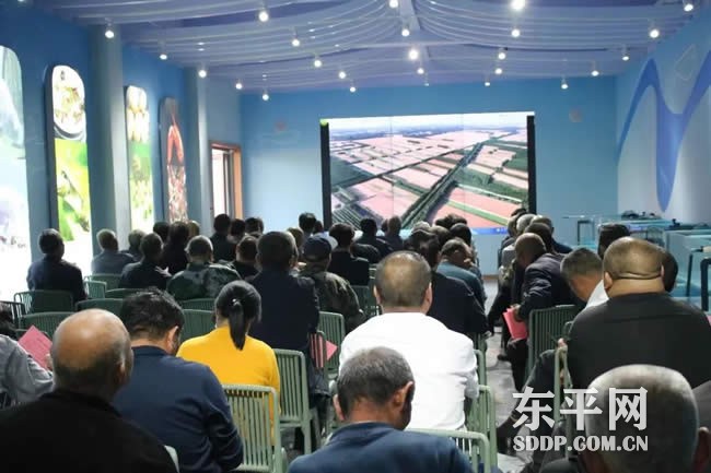 新湖镇召开生态渔业发展座谈会