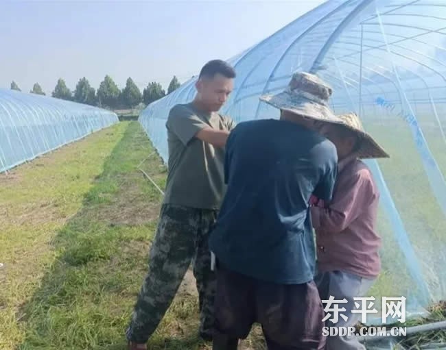 梯门镇东门村党支部书记李金虎
